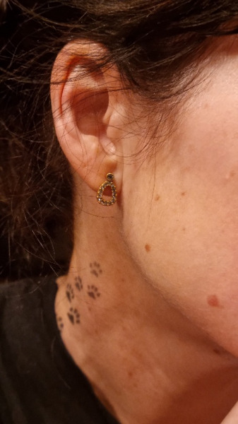 Iwona, Nowy Barkoczyn