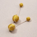 Kolczyki wiszące z kulkami z kordonka w złotej tonacji. DANCING QUEEN