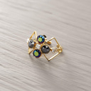 L'ARC DE TRIOMPHE. Anillo grande