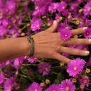 Delikatna bransoletka tkana z paciorków Miyuki. NERJA