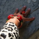 Złocona bransoletka z kolorowymi głowami papug. PLOTECZKI